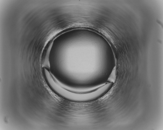 X0000094780981200712071200