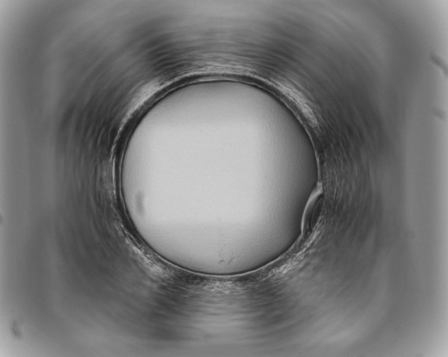 X0000094780982200712071200