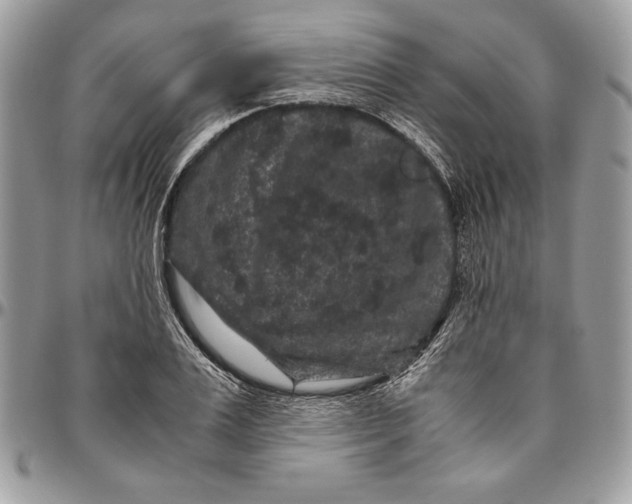 X0000094780983200712071200