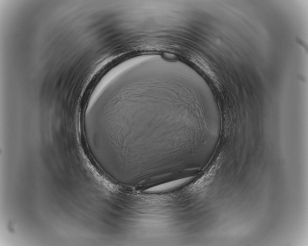 X0000094780984200712071200