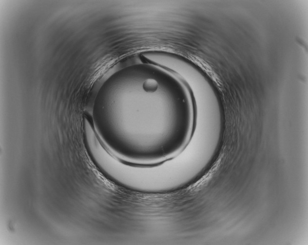 X0000094780985200712071200