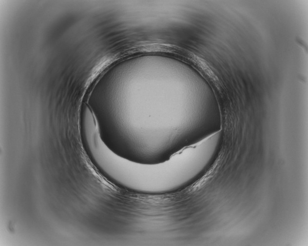 X0000094780986200712071200