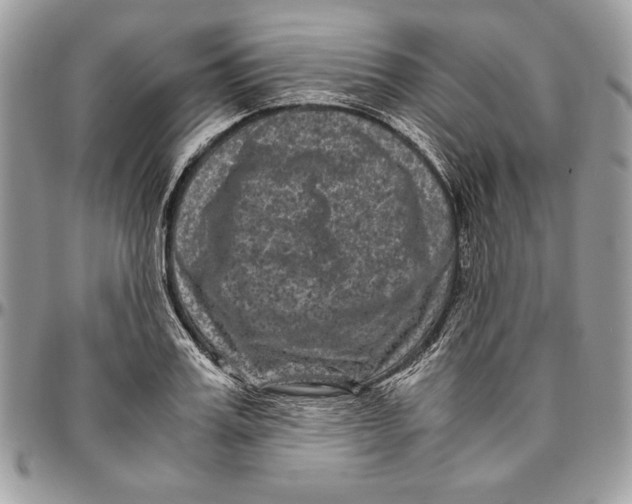 X0000094780987200712071200