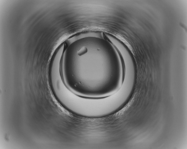 X0000094780989200712071200