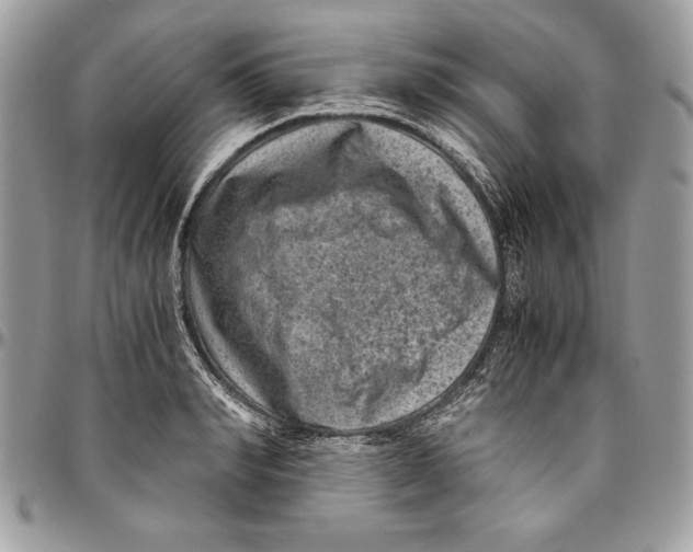 X0000094780990200712071200