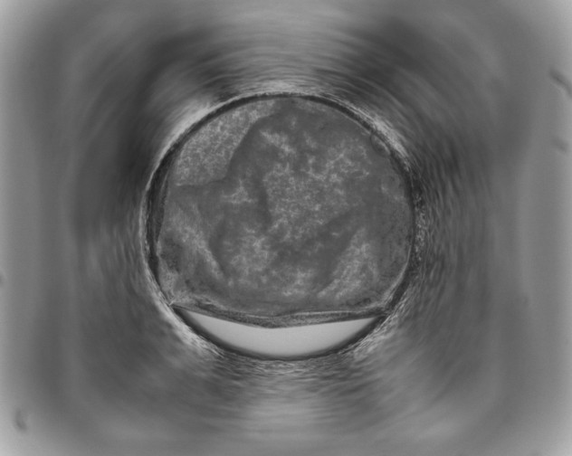 X0000094780991200712071200