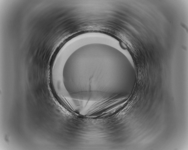 X0000094780992200712071200