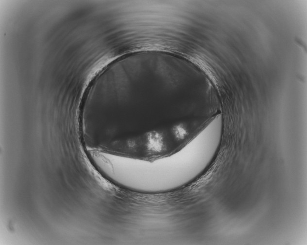 X0000094780995200712071200