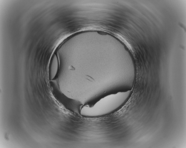 X0000094780996200712071200