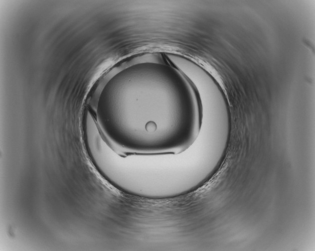 X0000094780997200712071200