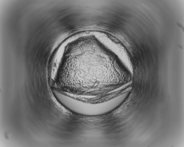 X0000094780998200712071200