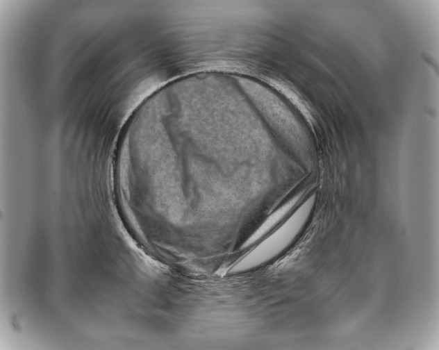 X0000094780999200712071200