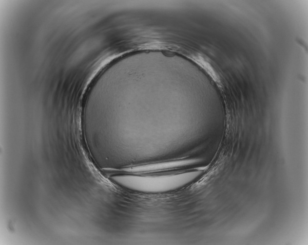 X0000094781000200712071200