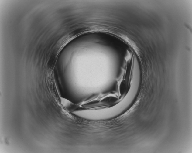 X0000094781001200712071200