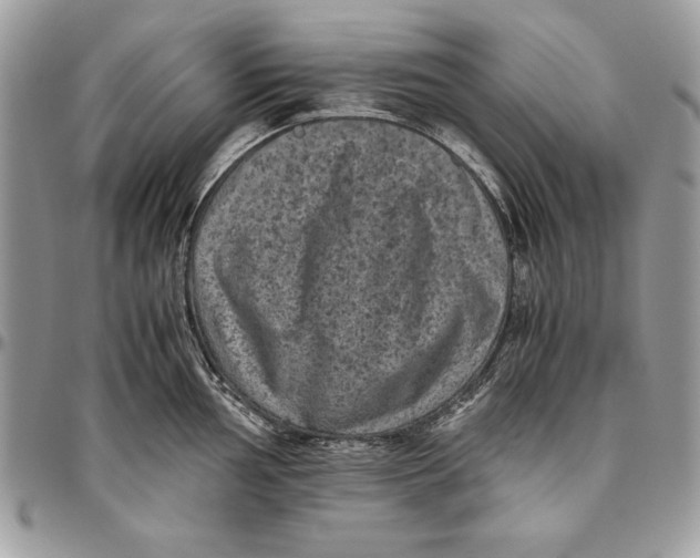 X0000094781002200712071200