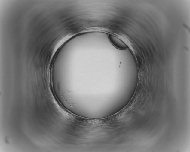 X0000094781003200712071200