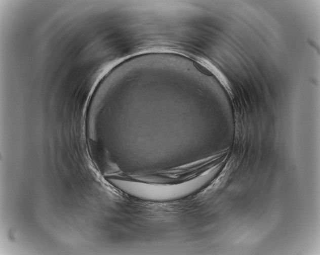 X0000094781004200712071200