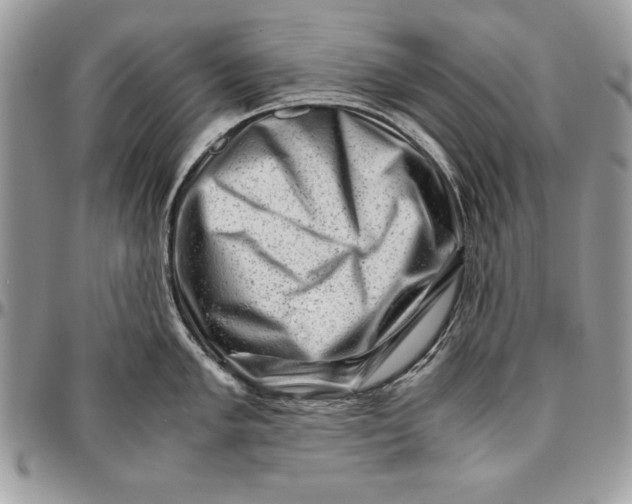 X0000094781005200712071200