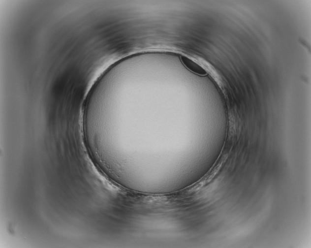 X0000094781006200712071200