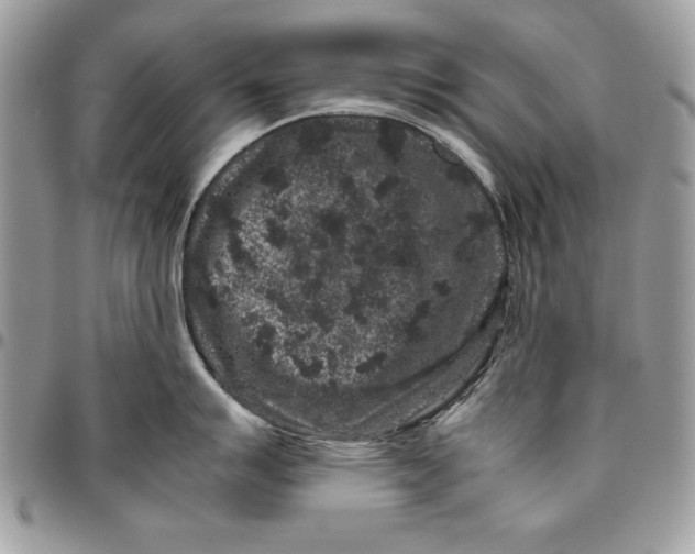 X0000094781007200712071200