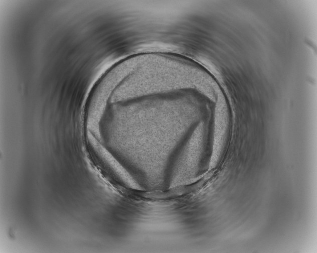 X0000094781008200712071200