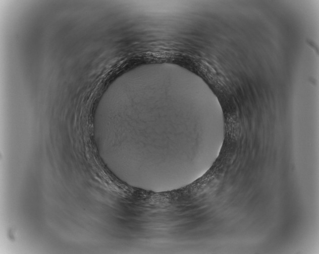 X0000094781009200712071159