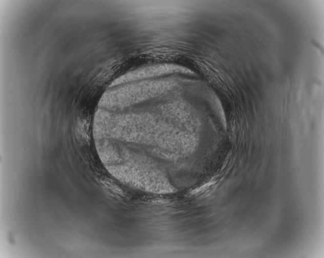 X0000094781010200712071159