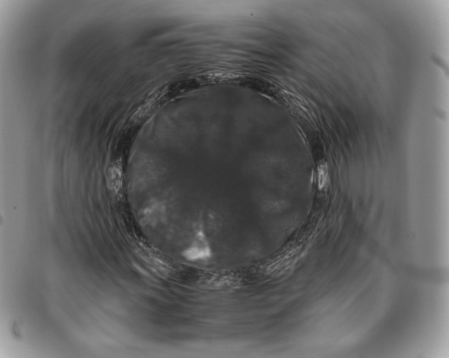 X0000094781011200712071159