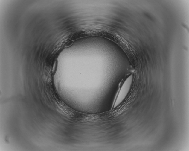 X0000094781012200712071159