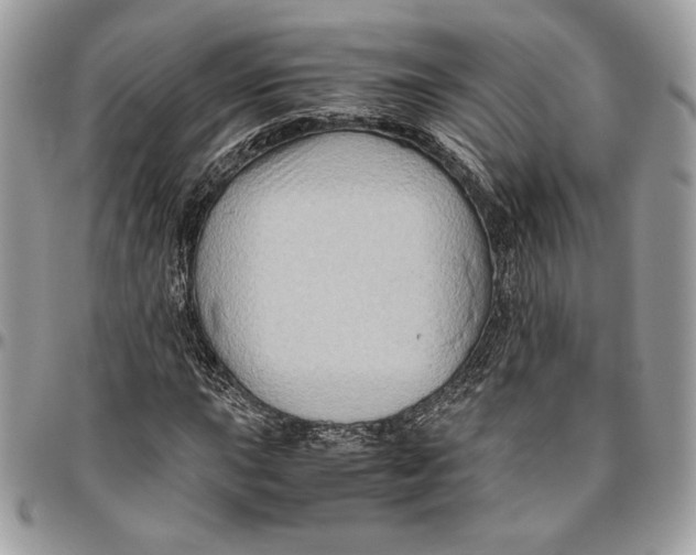 X0000094781015200712071200