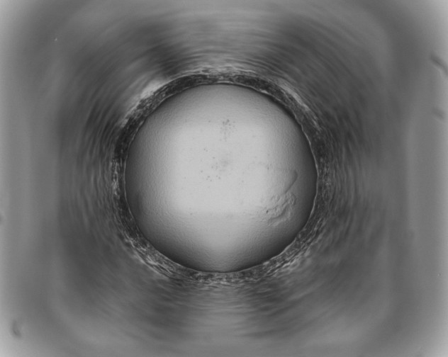 X0000094781016200712071200