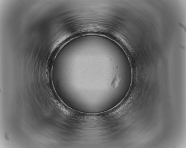 X0000094781018200712071200