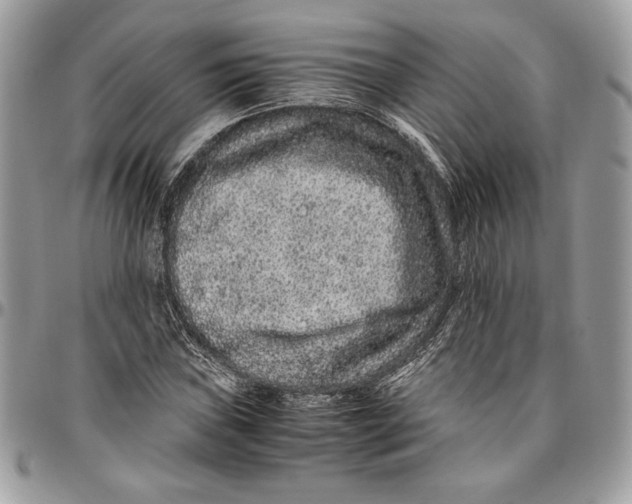 X0000094781019200712071200