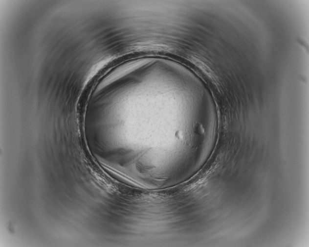 X0000094781022200712071200