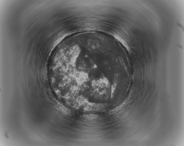 X0000094781023200712071200