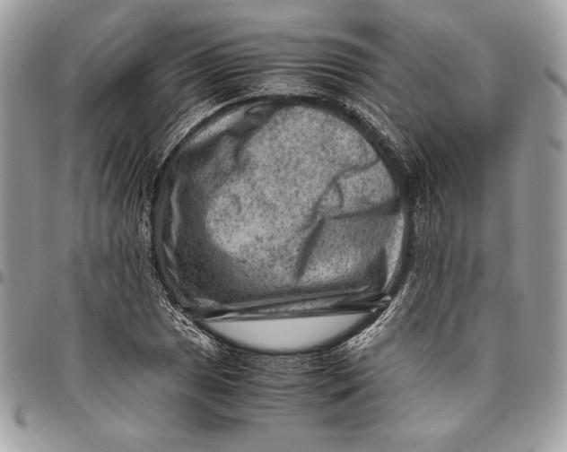 X0000094781025200712071200