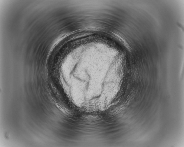 X0000094781027200712071200