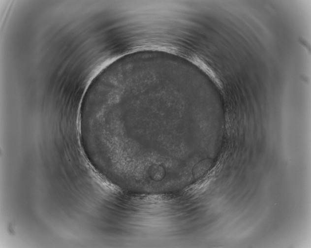 X0000094781028200712071200