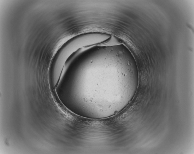 X0000094781030200712071200