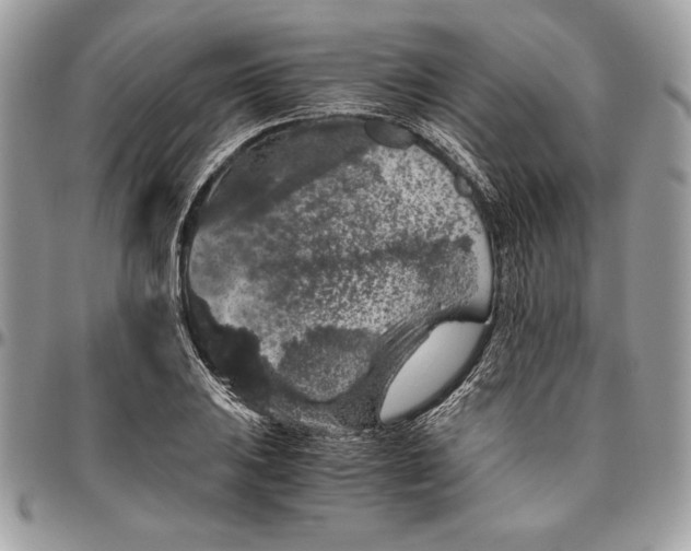 X0000094781031200712071200