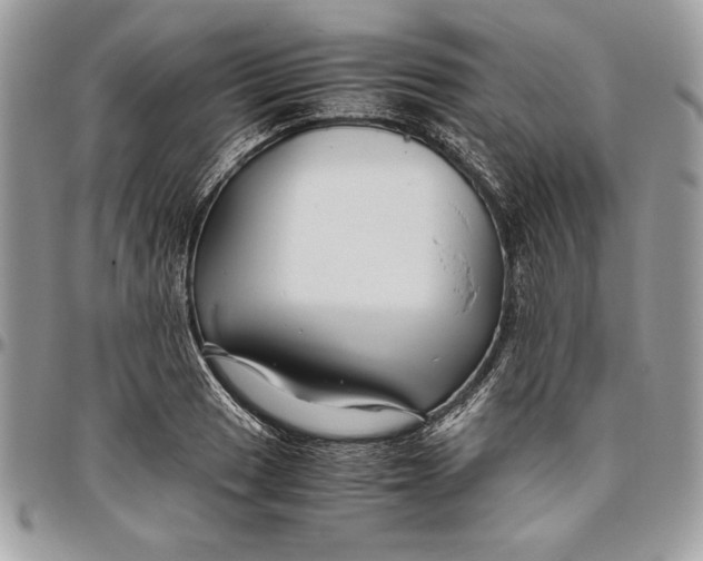 X0000094781033200712071200