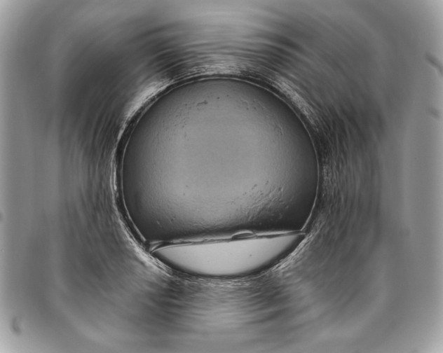 X0000094781034200712071200