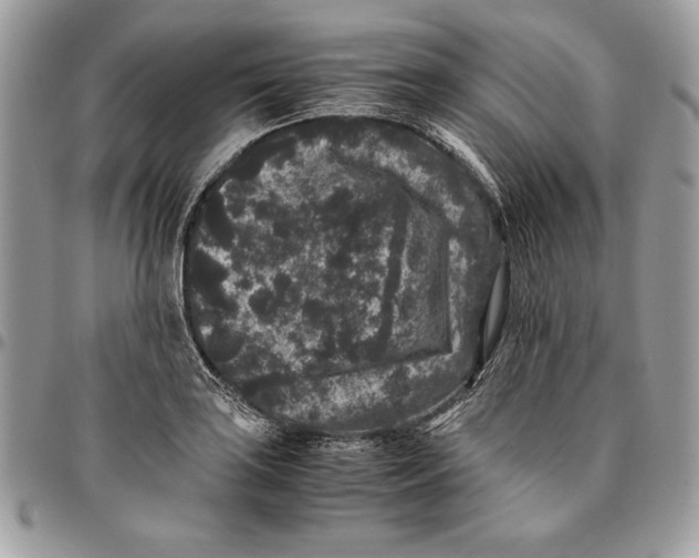 X0000094781035200712071200