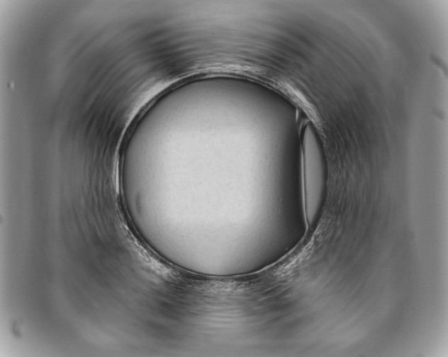 X0000094781036200712071200