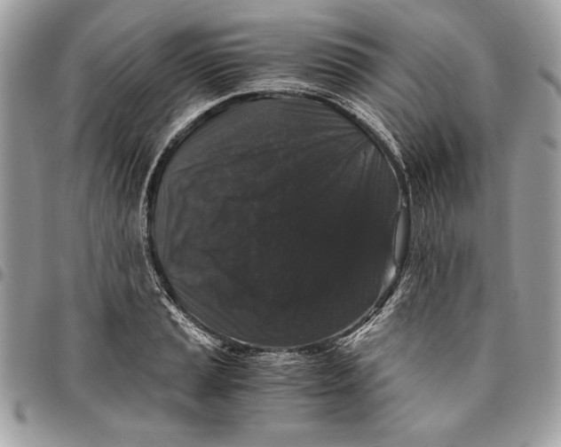 X0000094781037200712071200