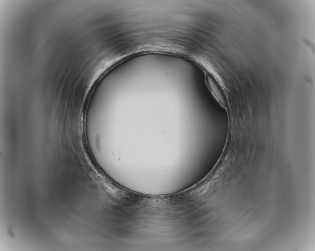 X0000094781040200712071200