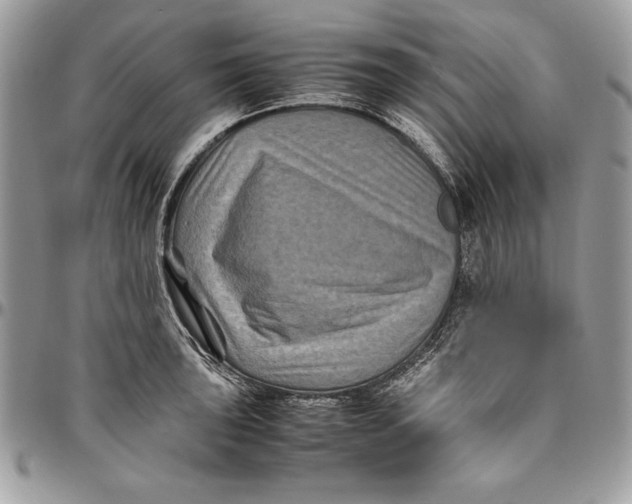 X0000094781043200712071200