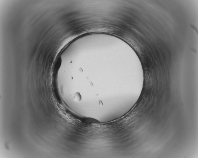 X0000094781044200712071200