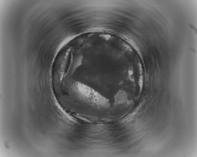 X0000094781045200712071200