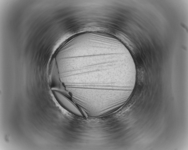 X0000094781046200712071200